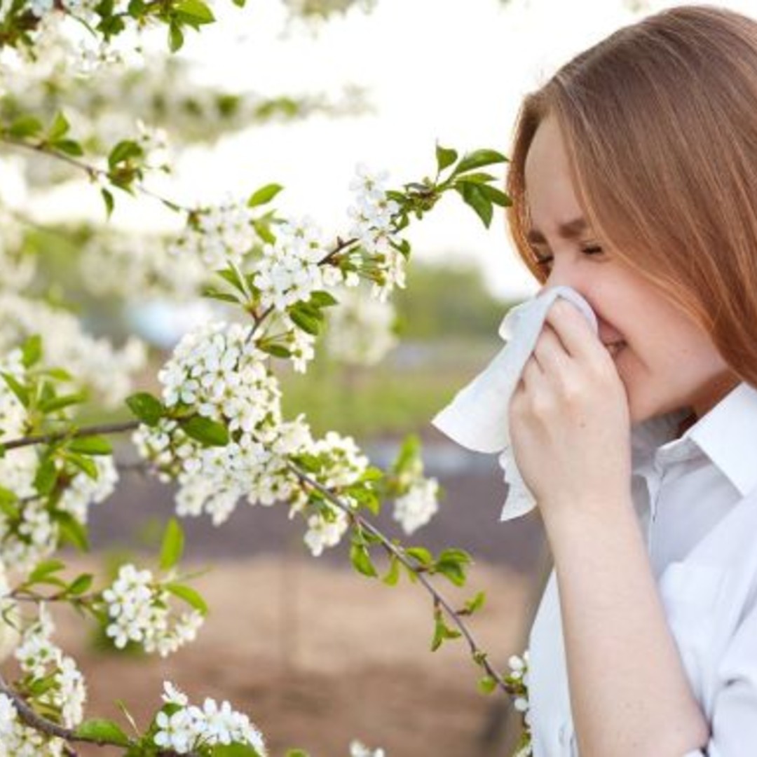 Alergia la polen