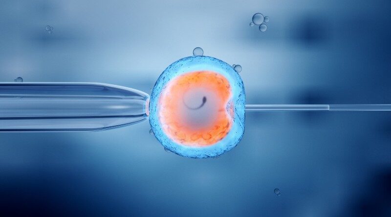 Fertilizarea în vitro