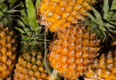 Ananasul, sursa ta exotică de sănătate